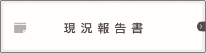 現況報告書